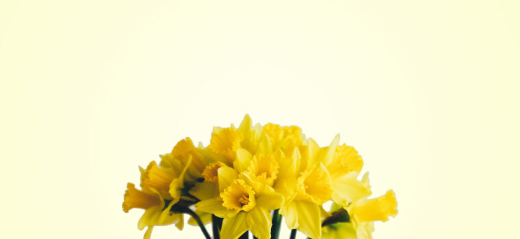 Remission by Gracelyn Imangbe, front cover